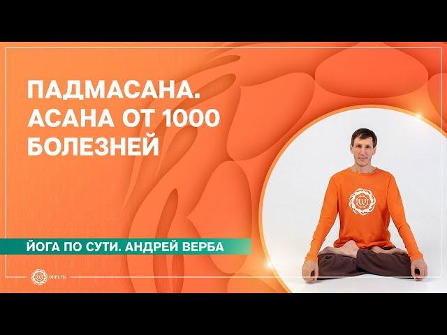 Падмасана. Асана от 1000 болезней