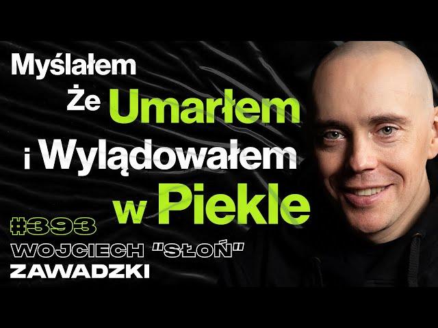 #393 Jak Ludzie Marnują Życie Przez Jaranie? Polskie Środowisko Rapowe - Wojciech "Słoń" Zawadzki