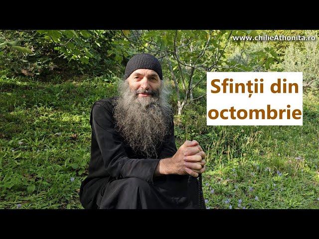 Sfinții din octombrie - p. Pimen Vlad