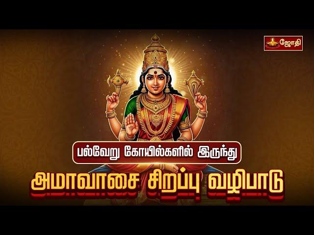 பல்வேறு கோயில்களில் இருந்து அமாவாசை சிறப்பு வழிபாடு | Amavasai Valipadu | Jothi tv