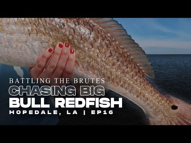 Louisiana Big Bull Redfish Fishing Gulf Coast, Hopedale Louisiana  (Red Drum) | Landed Fishing