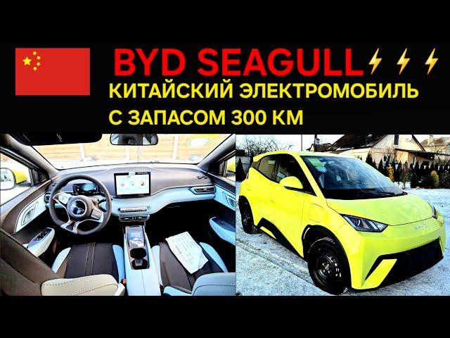 BYD SEAGULL (ЧАЙКА). КИТАЙСКИЙ АВТОПРОМ В БЕЛАРУСИ.