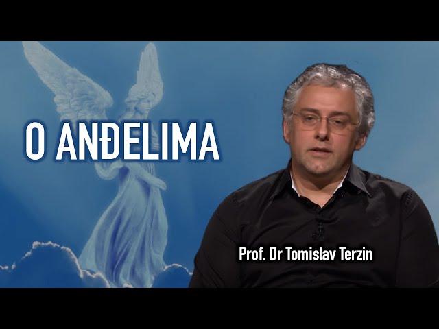 Tomislav Terzin - O ANĐELIMA