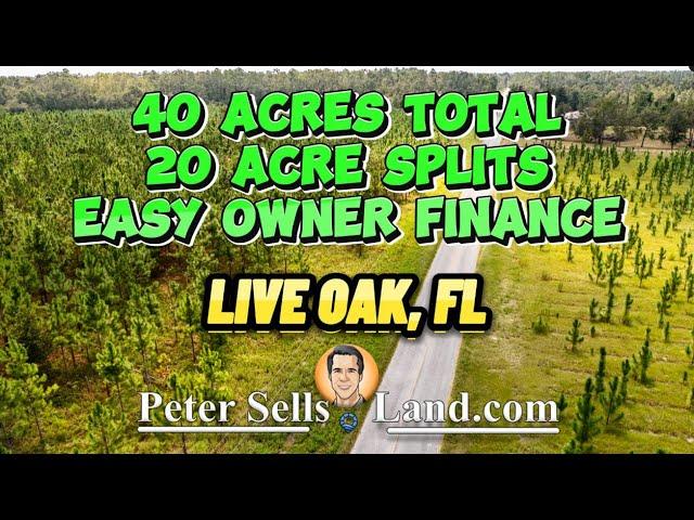 40-Acres Vacant Land in Live Oak, FL  Homestead Potential | Paved Rd, Pine Trees [10/20/30 Acres]