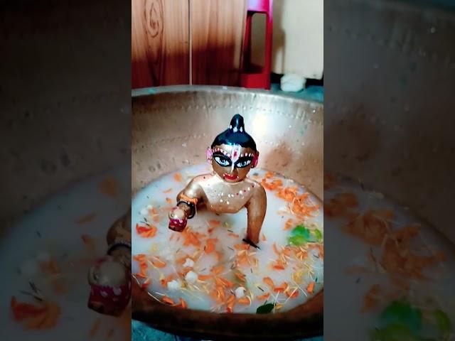 gopu sona r sanu dharshoner koro sobay .. Radha Radha 