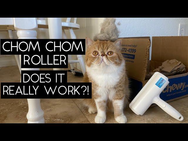 TESTING THE CHOM CHOM ROLLER | SVEN AND ROBBIE