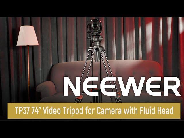 Introducing the NEEWER TP37 74" Video Tripod for Camera with Fluid Head