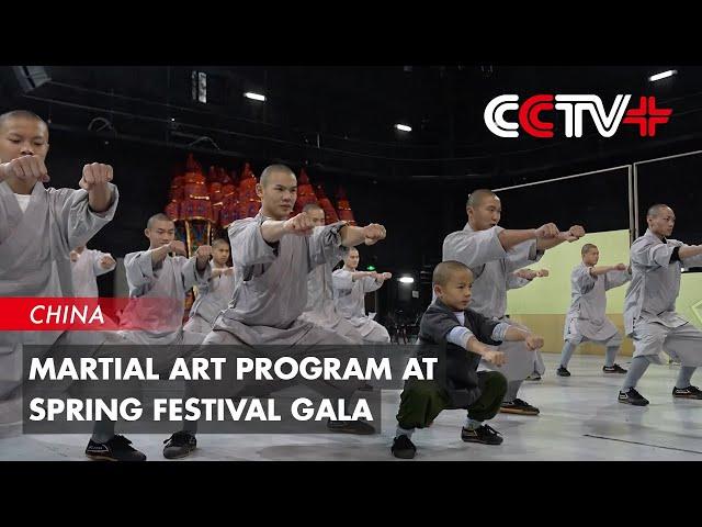 Martial Art Program at Spring Festival Gala Presents Audience with China's Traditional Culture