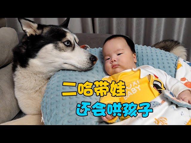 Dogs will not only help their owners with their babies