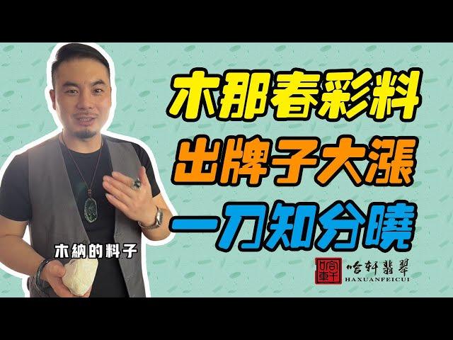 哈軒翡翠| 木那春彩料，出牌子大漲，一刀知分曉 #翡翠#玉器#珠寶玉器#玉石#緬甸翡翠#翡翠原石#切石頭