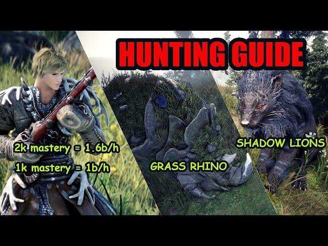 All you need to know to become best matchlock hunter in 2024 | Hunting guide | Black desert online