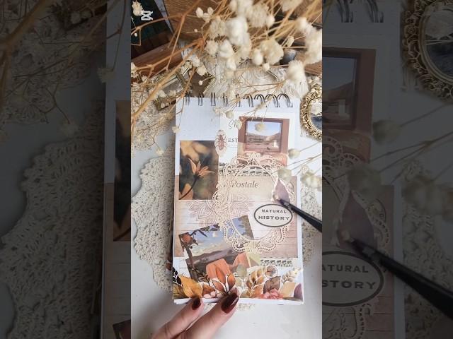 ASMR | Aesthetic Journal Short #scrapbooking #journalwithme