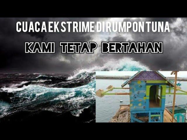 Hurricane rain storm in yellowfin tuna floating house and auto ocean run away and pray