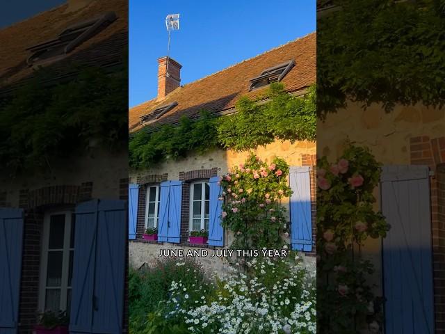 My #LifeInFrance: June & July Wrap up