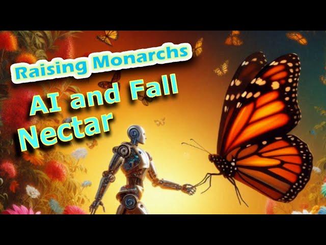 Raising Monarchs - AI and Fall Nectar (Help The Monarch Butterfly)