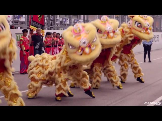 Team Motopark at 63rd Macau Grand Prix 2016