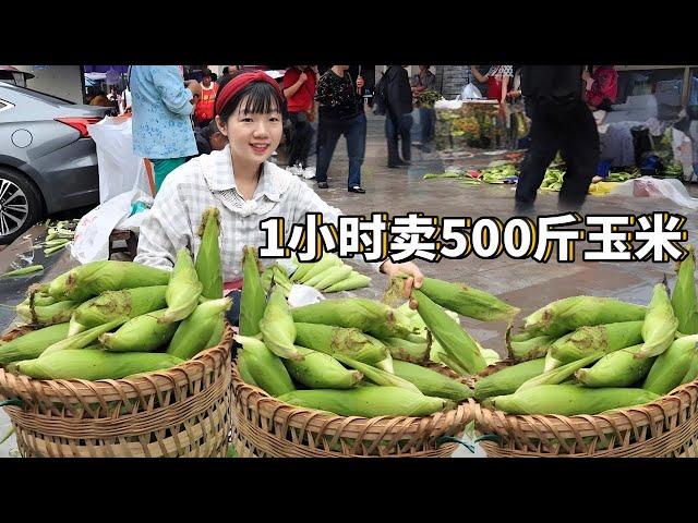 500 kilograms of corn were sold out in one hour  and the ugly corn in the countryside was bought ou