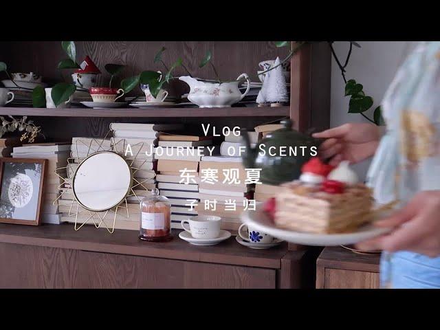 当归Vlog｜东寒观夏丨雪后的颐和园丨A Journey of Scents｜ft.观夏SUMMER Lab