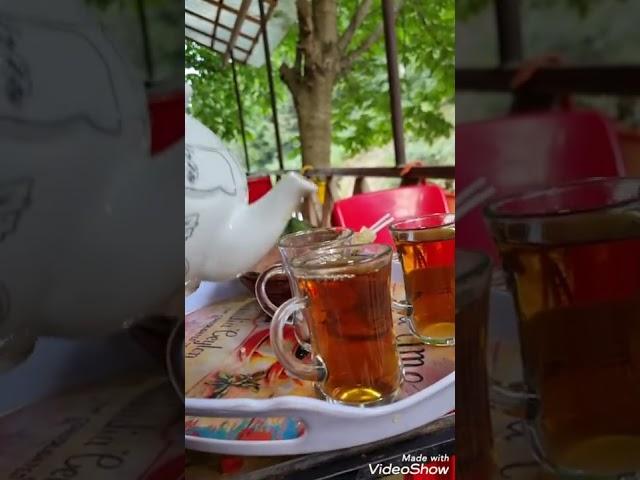 شمال رامسر جواهر ده جایی همگی خالی ️