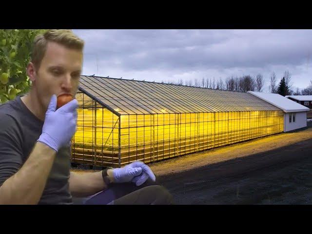 How Geothermal Energy Revolutionised Iceland’s Greenhouses | Earth Science