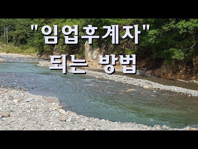 임업후계자 되는 방법 임업인