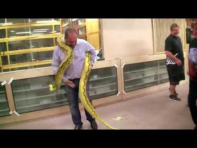 When Snake Videos Go WRONG!