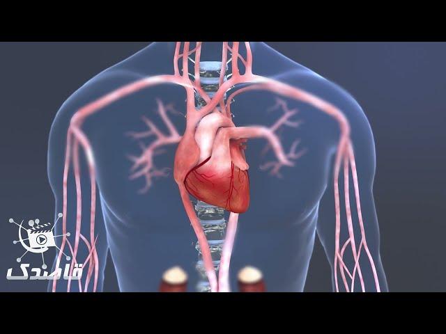 Coronary artery آنژیو پلاستی عروق کرونری
