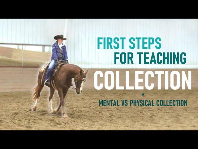 Key steps to teaching COLLECTION - Part 1