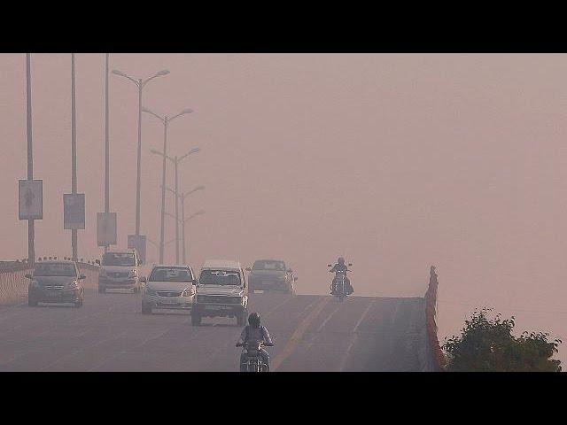 Protesters highlight New Delhi's soaring air pollution ahead of COP22 - world