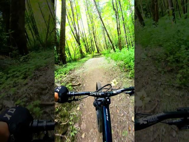 Sick new Bacon Pancake Trail at Tehaleh Bike Park! #mtb #evergreen #bike #totalmtb#shorts