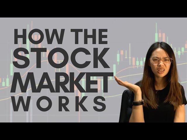 HOW THE STOCK MARKET WORKS | Stock Market 101 for beginners | Philippine Stock Exchange