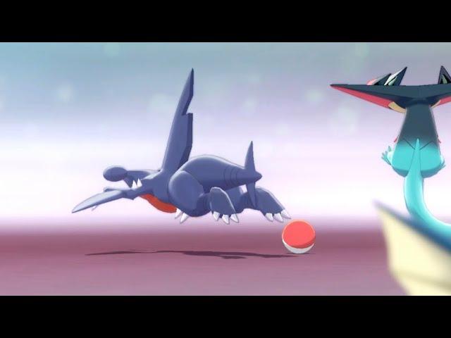 I think my Garchomp is broken