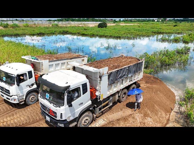 OMG !! Big Dump Trucks Drop Sand Into Water With Strong Bulldozer Push