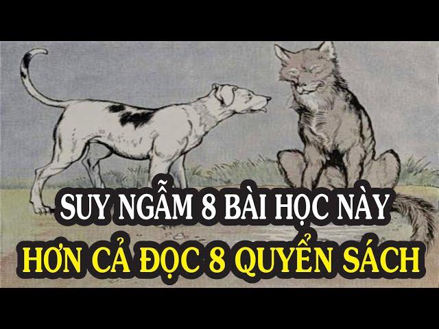 8 Bài học thấm thía về cuộc sống khiến bạn chỉ ước GIÁ MÀ MÌNH BIẾT SỚM HƠN | NGẪM PLUS