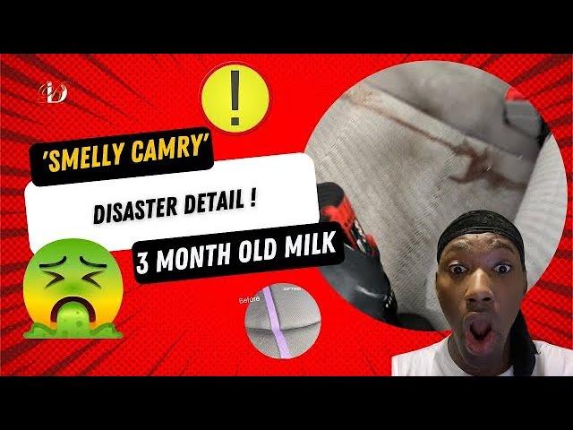 Sour Milk in Camry! Disaster Detail! How to Remove Old Milk Smell From Car! S 1,E2