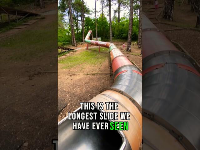 Would you slide down? #shorts #wouldyou #slide