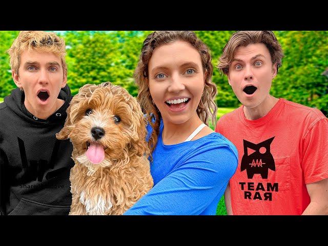 Surprising SHARER FAMILY with my NEW PUPPY!!!