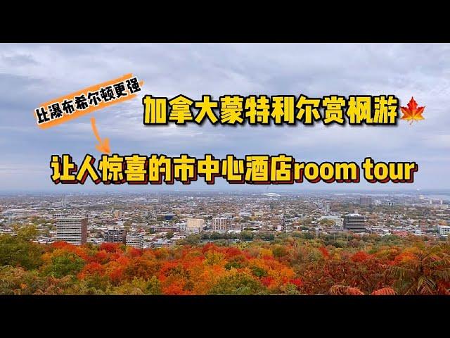 【Room Tour】300刀在加拿大第二大城市Montreal蒙特利尔/满地可，能住什么样的酒店？超惊喜！麻雀虽小五脏俱全