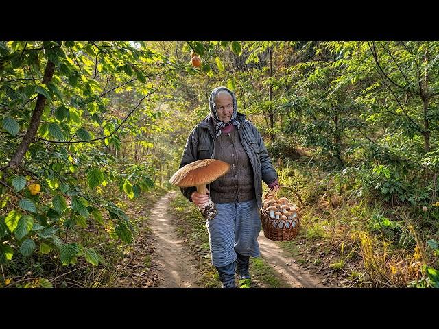 EINSAME OMA & SOHN IM KARPATENDORF. Pilze sammeln. Leben in den harten Bergen. Alte Traditionen