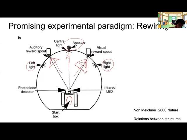Relational approach to link structures of qualia and information