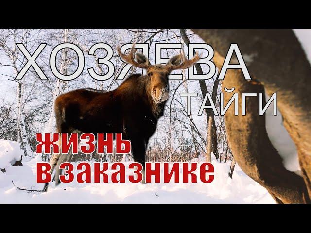 XОЗЯЕВА ТАЙГИ. Что такое "заказники"...