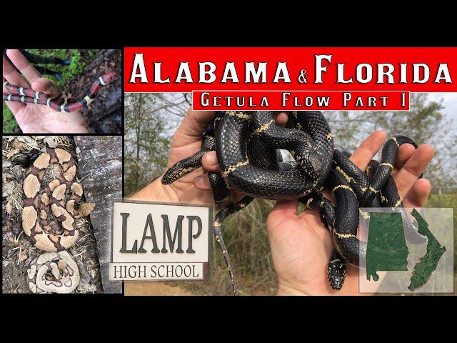 Getula Flow Part 1: Florida and Alabama - Starting a 9 day spring FlipFiesta across the southern US