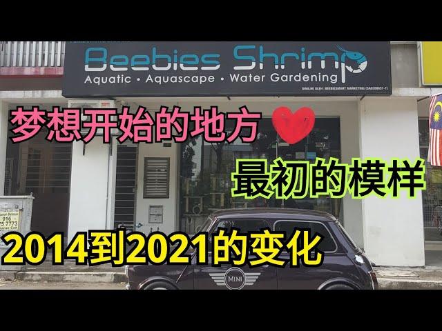 Beebies Shrimp 一直保持进步！加油！7年的时间~2014-2021