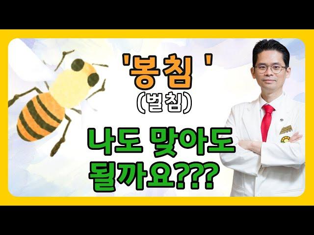 봉침(벌침)의 효능과 적응증 그리고 주의사항(feat. 봉독면역요법 소개)