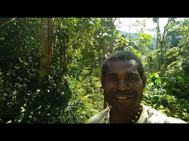 SENSOR KAYU KIDOKALI DJIGUNERY
