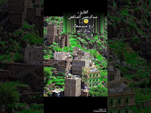 #تلاوة_خاشعة ||القارئ عبدالرحمن الشافعي