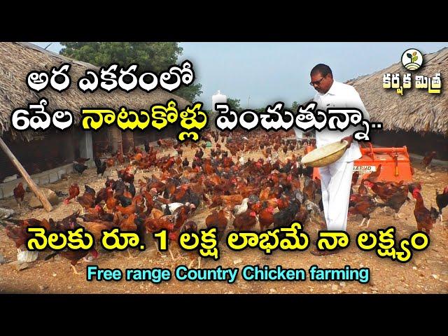 అసిల్ నాటు కోళ్లతో లాభాలు భళా || Asil ( Assel ) Country Chicken/Natu Kodi farming || Karshaka Mitra