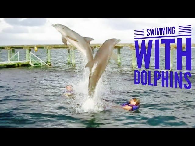 Visiting Punta Cana, Dominican Republic - Swimming with Dolphins Experience