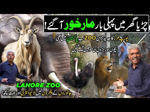 Europe Style Zoo Now In Pakistan | Lahore Zoo Reopened 2024 | Markhor's In Zoo | Discover Pakistan