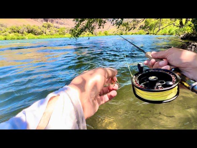 They are ALWAYS hiding in the toughest spots to reach (Deschutes River Salmon Fly Hatch)